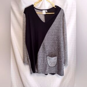 Parsley & Sage knit tunic